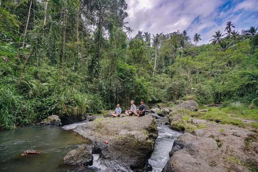 Villa Santai ウブド エクステリア 写真